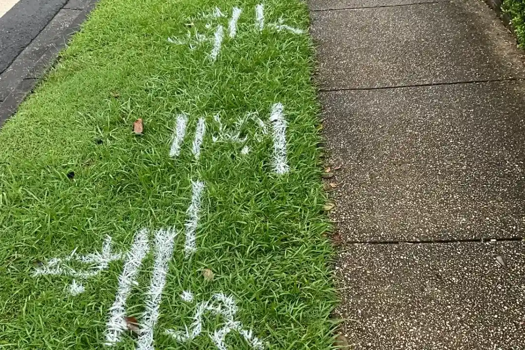 Utility Locating Brisbane